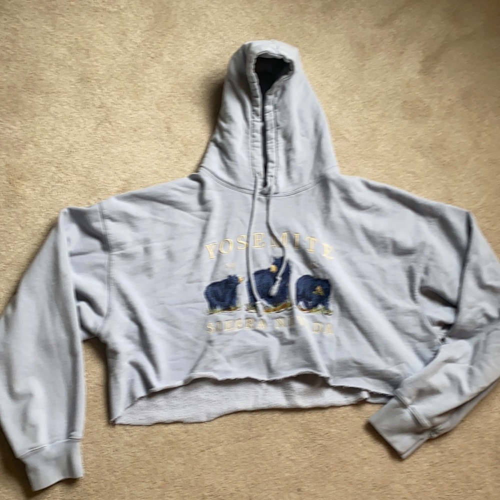 brandy melville cropped hoodie